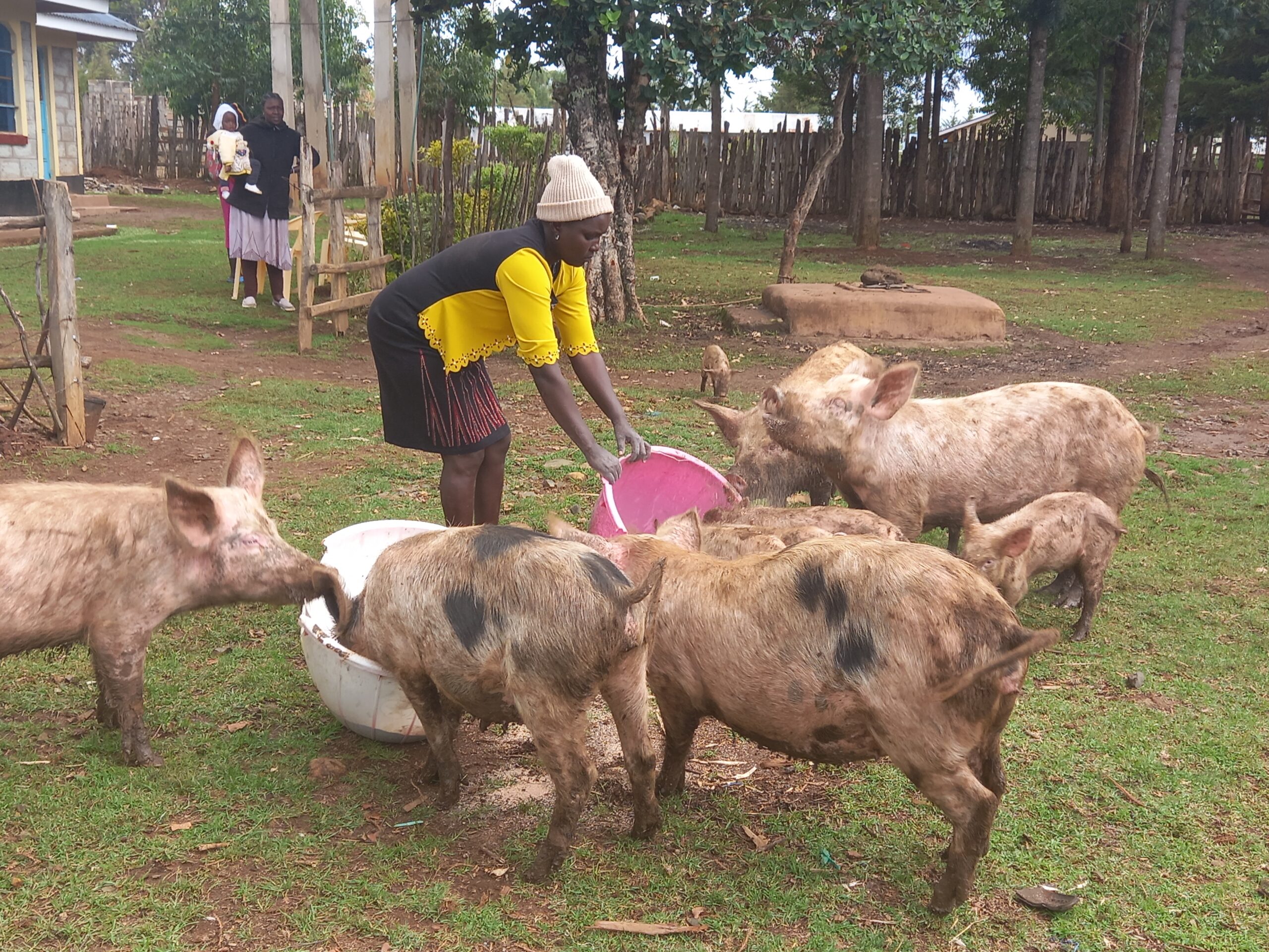 FRESH PROBE BY POLICE INTO CASES OF TORTURE AND OTHER INJUSTICES IN UASIN GISHU